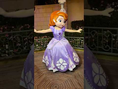 Meeting Princess Sofia Disneyland Paris