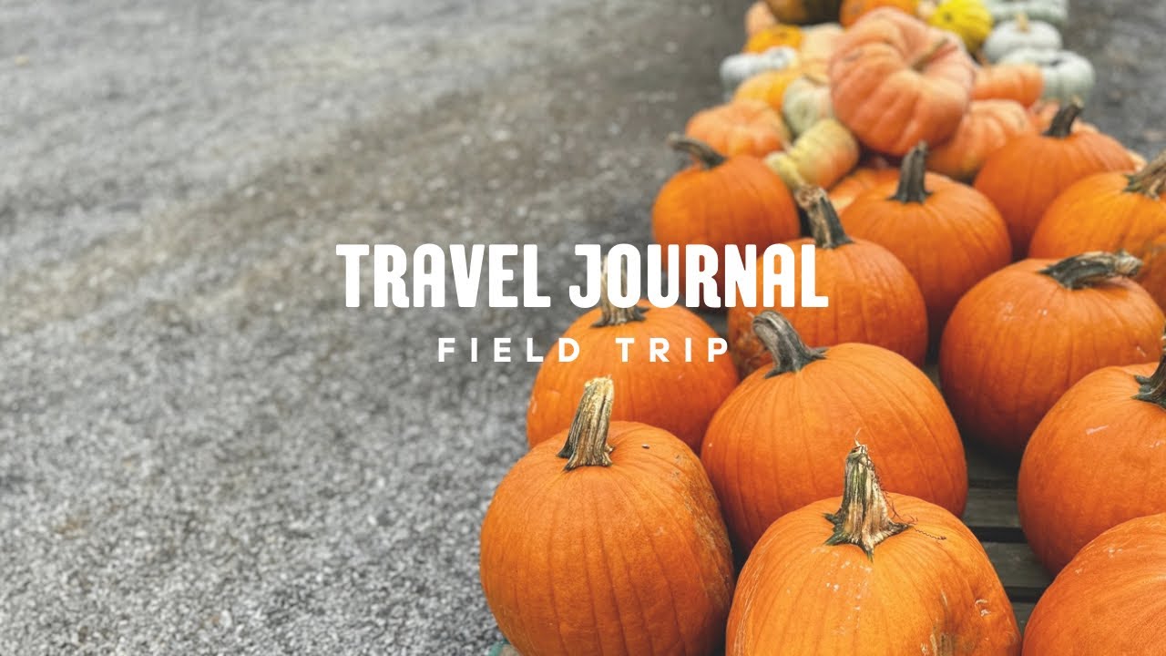 Field Trip to Guthrie Pumpkin Patch and Corn Maze YouTube