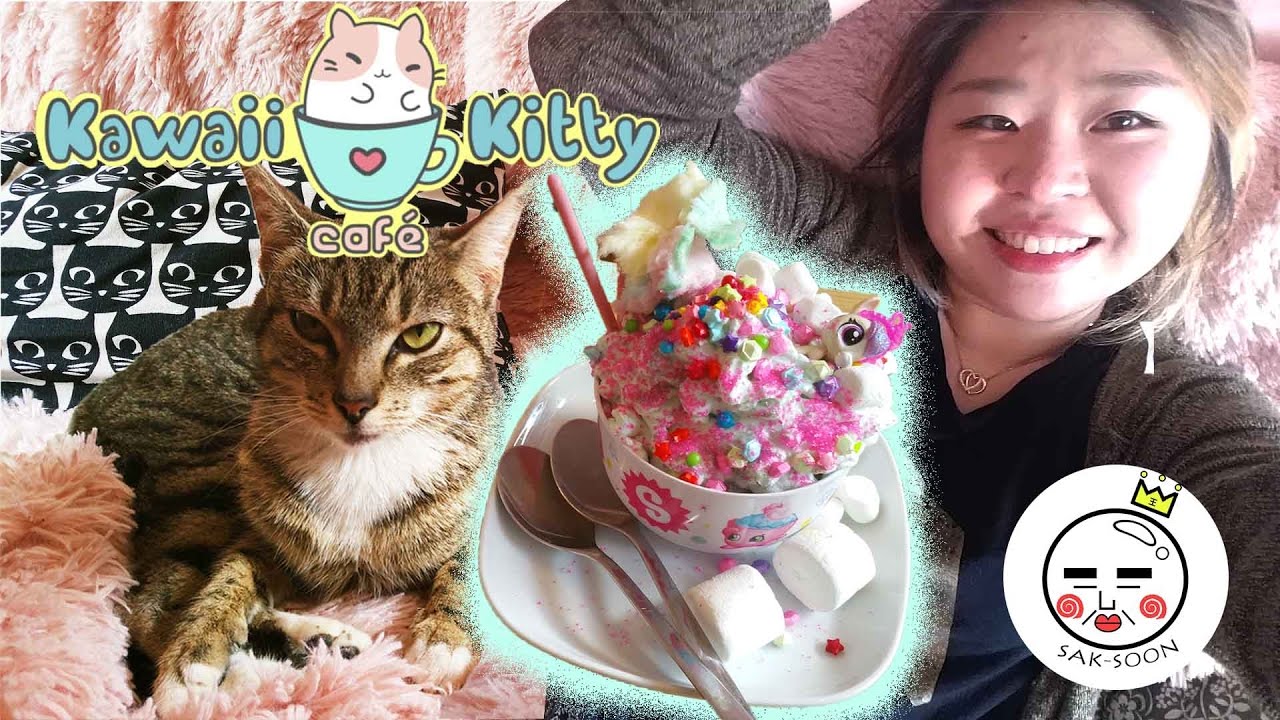 VLOG Kawaii  Kitty  Cafe  in Philadelphia  PA YouTube