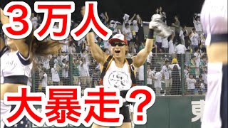３万人の前で大暴走してきた！！