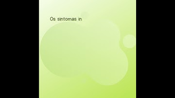 Doença do carrapato: saiba como proteger o pet!