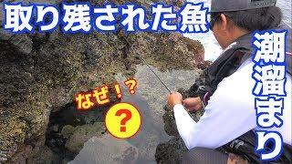東京都伊豆大島で久しぶりのあの魚を狙う！！
