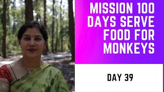 Mission 100 days (day 39)