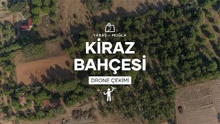 Yaraş Kiraz Bahçesi - Drone Video Çekimi