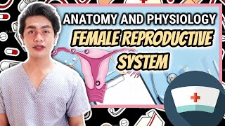 ANATOMY & PHYSIOLOGY: FEMALE REPRODUCTIVE SYSTEM | ENGLISH TAGALOG DISCUSSION | NEIL GALVE