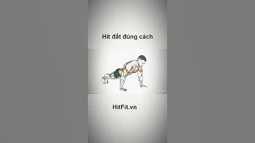 Bài Tập Hít Đất Đúng Cách Tại Nhà - Tập Gym Mỗi Ngày