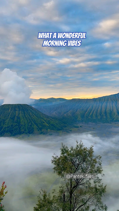 #shorts #fypシ゚viral #pov #travelvlog @Pantex_files #ytshorts #wisata #bromoadventure #tengger