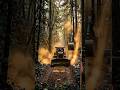 How Roads Are Built Through Forests | Real Timelapse🌿🚧