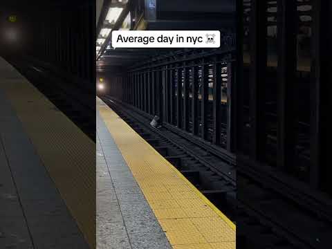 Videó: Amikor felállsz egy metrószerelvényben, és a vonat hirtelen megáll?