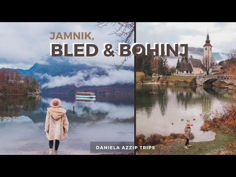 Wideo: Jamnik
