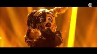 Kulkukoira sings “Rise like a Phoenix” by Conchita Wurst | The Masked Singer Suomi | Season 7