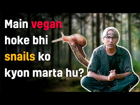 वीडियो: SNILS - इसकी आवश्यकता क्यों है और यह कैसा दिखता है