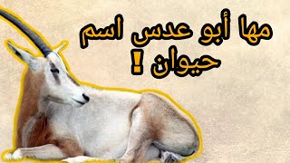 مها أبو عدس ! المميز الذي ستفقده البشرية