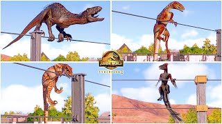 Climbing the Fences Animations of Small and Hybrid Dinosaurs  Jurassic World Evolution 2  JWE