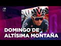 Giro de Italia: Egan, listo para un día decisivo; análisis Héctor Urrego