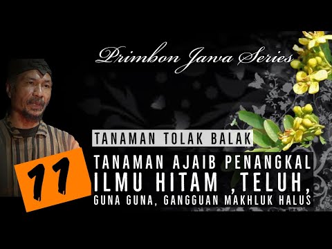 11 Tanaman Penangkal Ilmu Hitam,Guna guna ,Teluh,dan gangguan Makhluk Halus versi PRIMBON JAWA KUNO