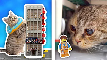 Giant Cat Destroys LEGO City