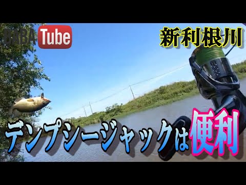 【新品同様】日本のかわと河川技術を知る～利根川～ 日本のかわと河川技術を知る~利根川 | 土木学会水工学委員会日本