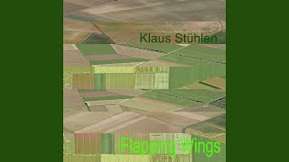 Flapping Wings