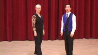 Silver Viennese Waltz - Rise and Fall Ballroom Dance Lesson