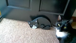 Cat Door Stop Or Just A Cool Decoration. Scrap Wood Ideas, Diy Ideas, Unique And Interesting