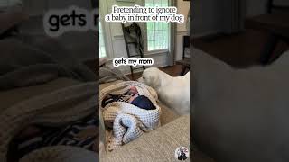 Will Puppy Help Fake Baby [Funny Dog Reaction]