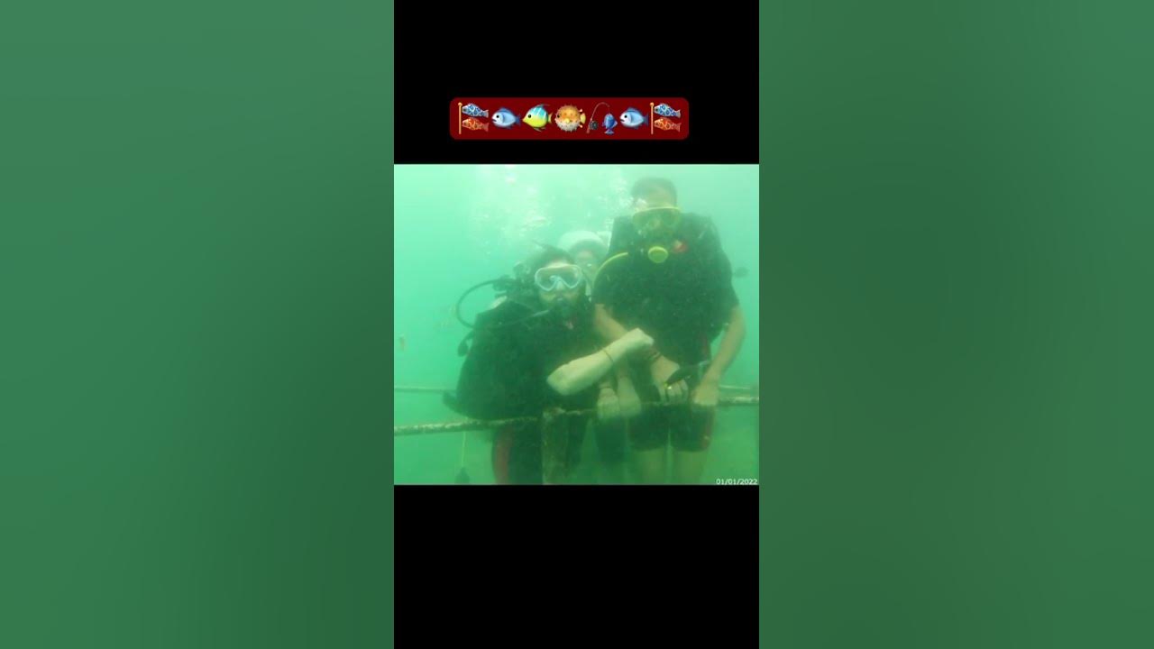Snorkeling was real fun 🤩 #trend #song #trending #viralshorts @ChuChuTV