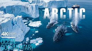 COLDEST ARCTIC | Exploring the Frozen Landscapes From Greenland’s Ice Sheet to the Arctic Ocean