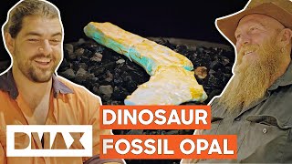 $25,000 Opalised Dinosaur Fossil Donated To Museum! | Opal Hunters: Red Dirt Road