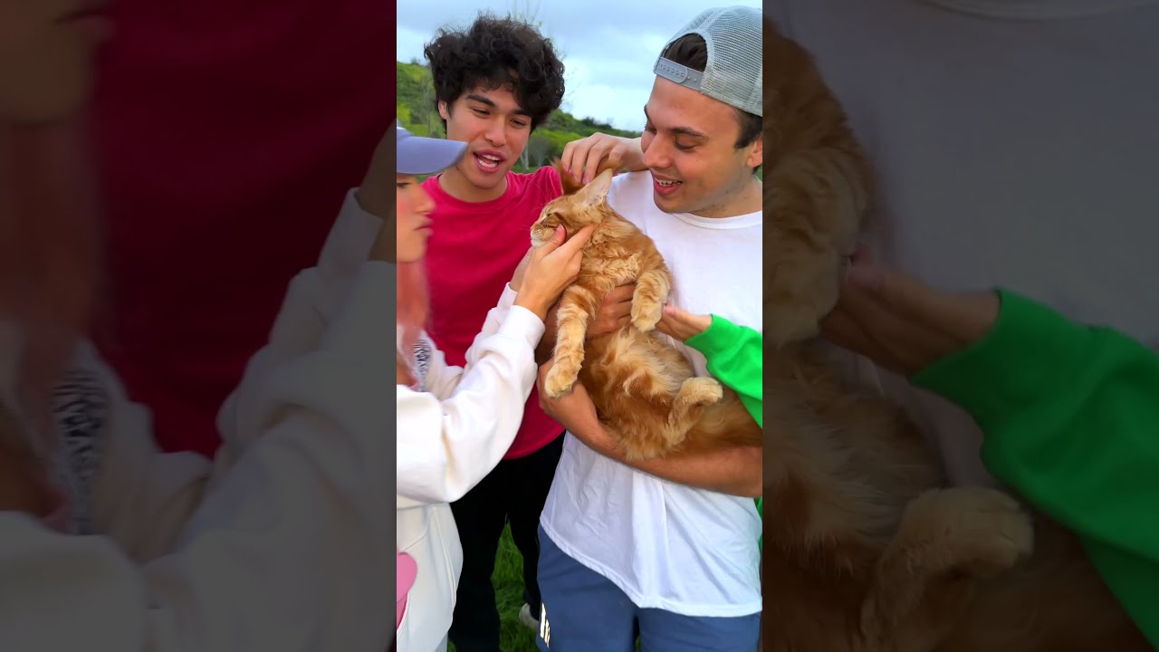SURPRISING MY TWIN WITH HIS DREAM PET 