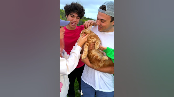 SURPRISING MY TWIN WITH HIS DREAM PET!!