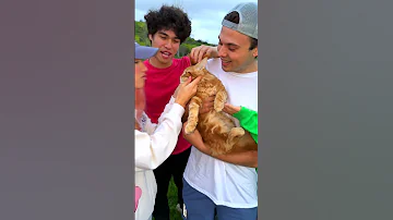 SURPRISING MY TWIN WITH HIS DREAM PET 