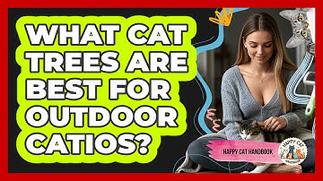 What Cat Trees Are Best For Outdoor Catios? - Happy Cat Handbook