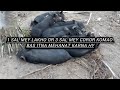 Lakho or coror komana hy tho ye sab kornha padega || pig 