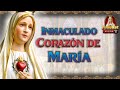 Inmaculado corazn de mara  origen y devocin43 podcast caballeros de la virgen en vivo 