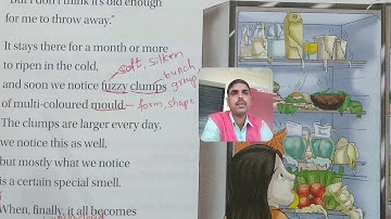 VII GRADE SECTION C- DEEP IN OUR REFRIGERATOR