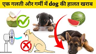 एक गलती और गर्मी में dog की हालत खराब / summer care tips for dog by At Mix 1,329 views 1 month ago 5 minutes, 36 seconds