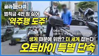 기동성 믿고 열에 아홉 도주? 도망가도 소용 없다!ㅣ오토바이 특별 단속 현장ㅣ교통경찰 24시ㅣ#배달오토바이 #무면허킥보드ㅣ극한직업ㅣ#골라듄다큐