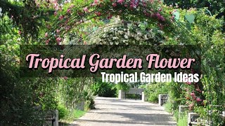 Tropical Garden Flower  | Tropical Garden Ideas | Tropical Backyard