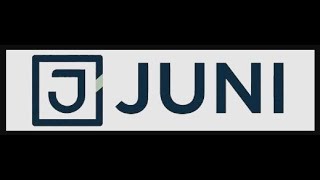 JUNI CONSULTING, LLC / Reliable Business Systems Analysis In Tampa FL 33629