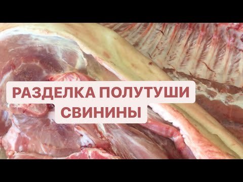 Видео: Где у свиньи находятся задние ребра?