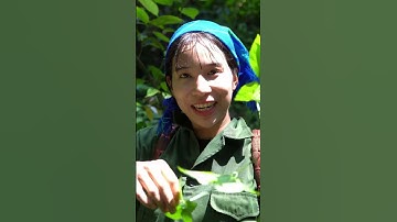 Bữa cơm trong rừng. Zalo: 0866.631.916 #mayhang #food #amthuc #thonnubanthuong #cuada