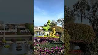 Goofy Topiary at EPCOT