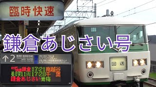 【185系】臨時快速 鎌倉あじさい号 に乗ってきた！