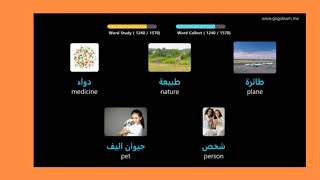 تعلم ترجمة عربية انجليزي