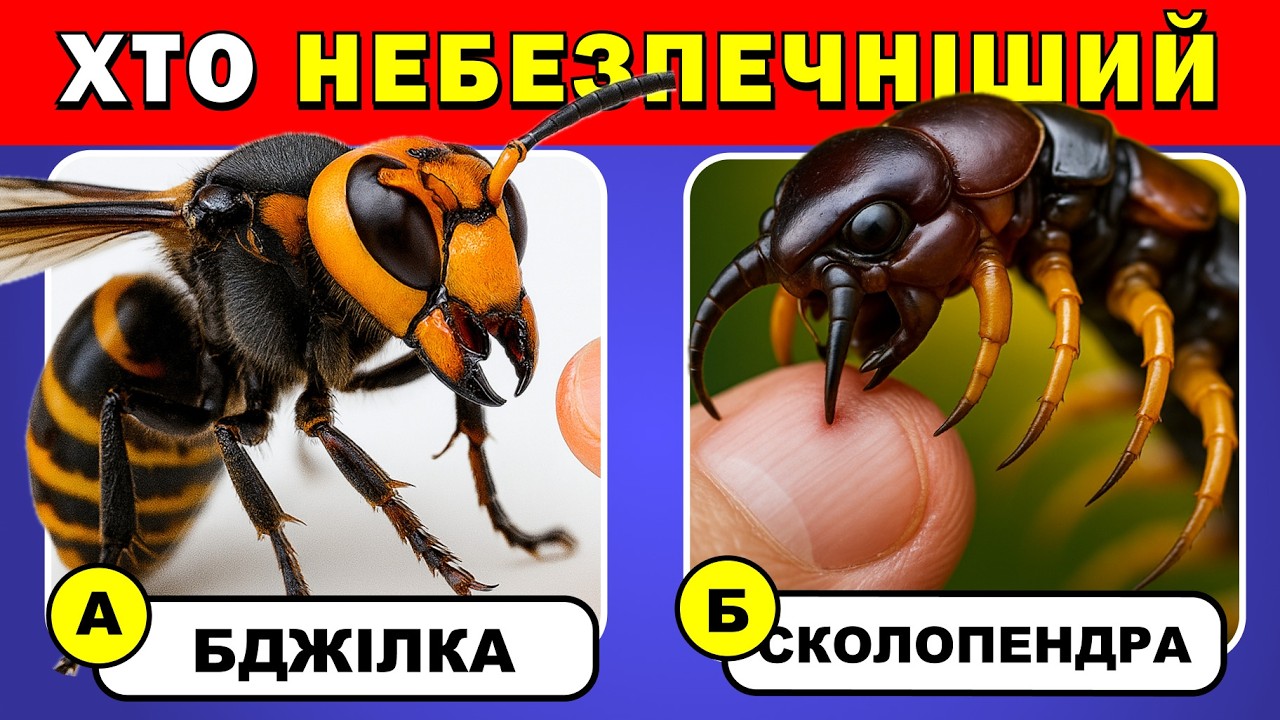 Вікторина про Тварин 🤯 ✅ | Вікторини Українською 🇺🇦