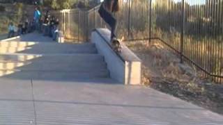 David's Summer Park Edit