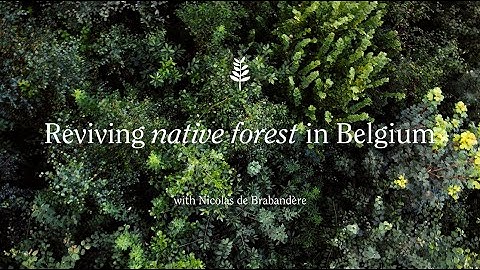 SUGi: Restoring native forest of Belgium