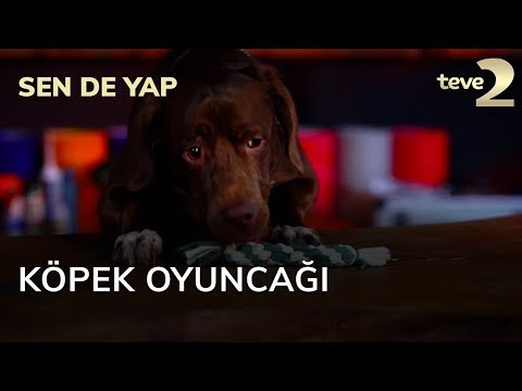 Video: Bir Köpek Oyuncağı Nasıl Dikilir