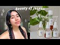 I used Beauty Of Joseon serums for 2 months... here are my thoughts